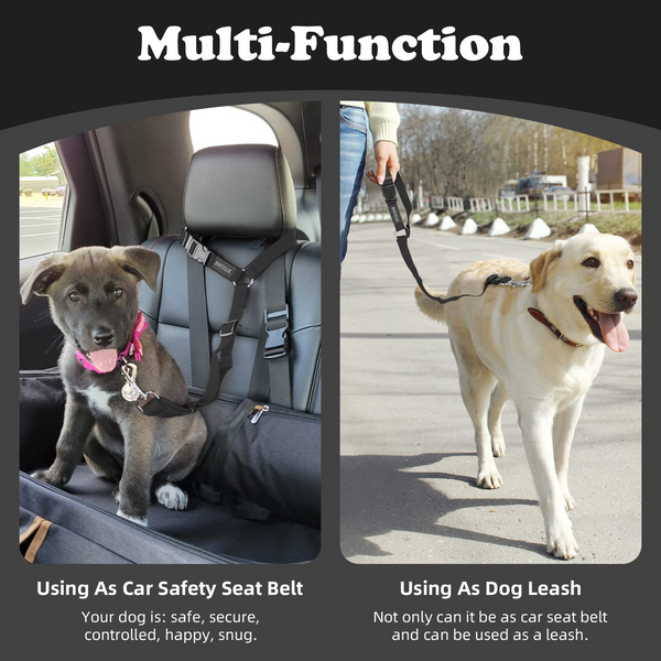 Car Dog Safety Seatbelt